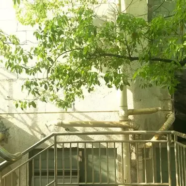 Profile image of 텐마 츠카사