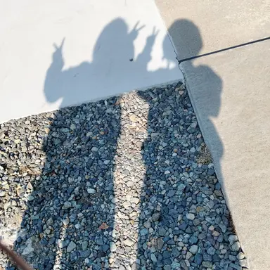 Profile image of 先生3号