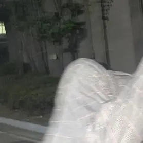 Profile image of 배진영