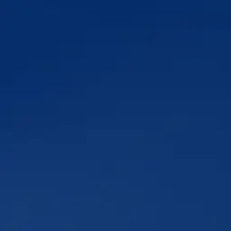 Profile image of バラ