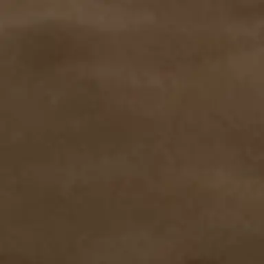 Profile image of コナン達