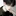 서재현