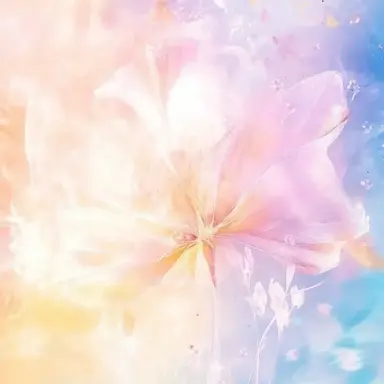 Profile image of 貴方のファンクラブ