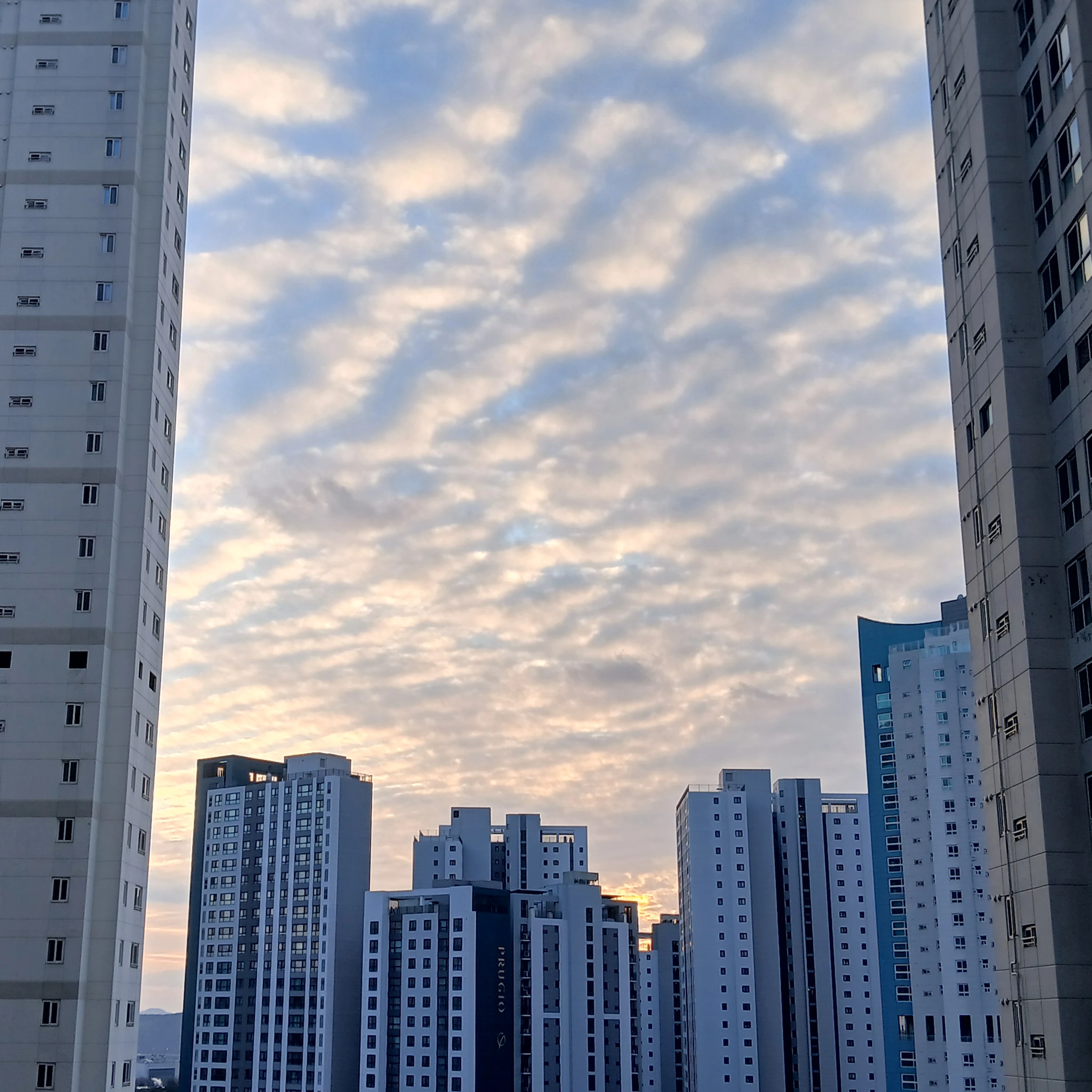 박건엽