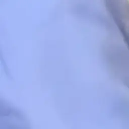 Profile image of 中野なかるてぃん