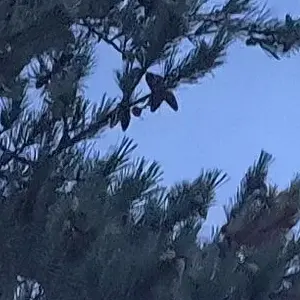 Profile image of 버닝스파이스