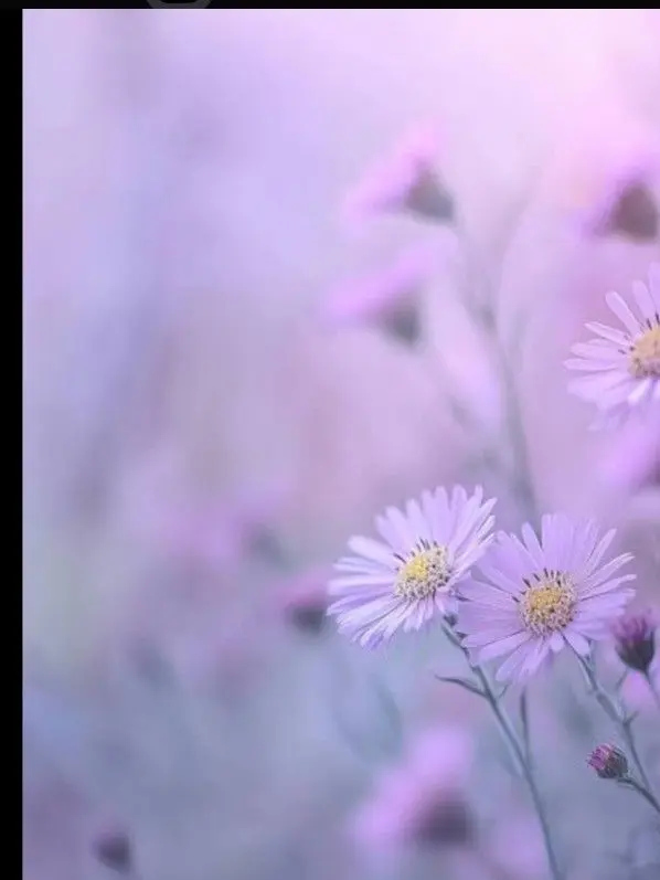 tnsiREI20110928의 現パロ