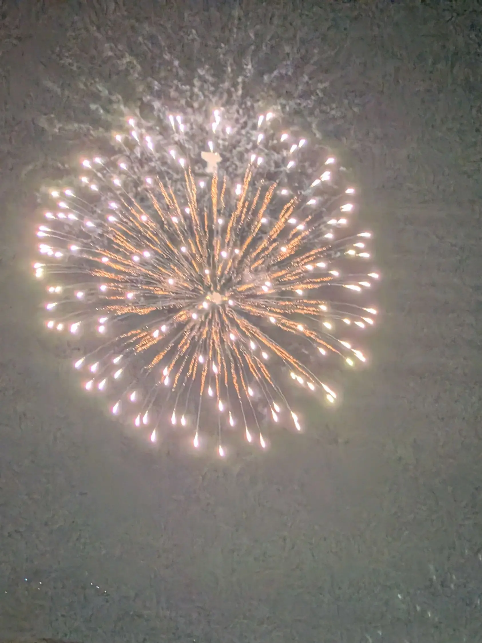 AcridMop2538의 ずっといっしょ
