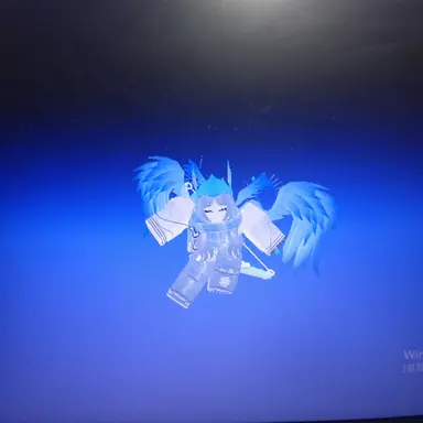 Profile image of pilki