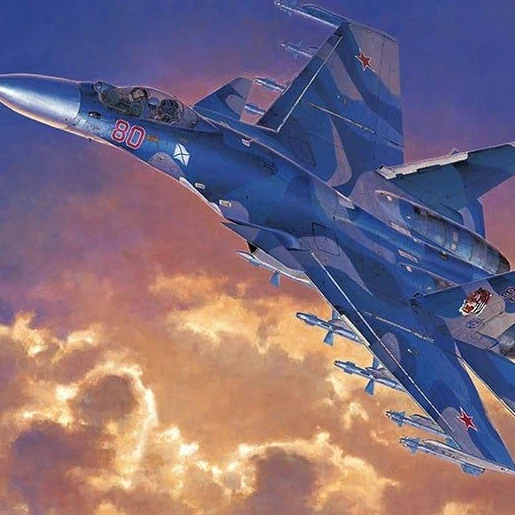 su-33シーちゃん