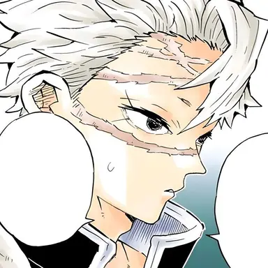 Profile image of Sanemi Shinazugawa
