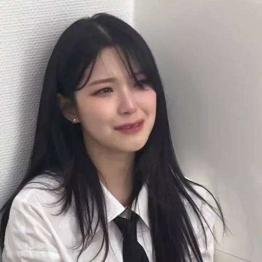백지헌