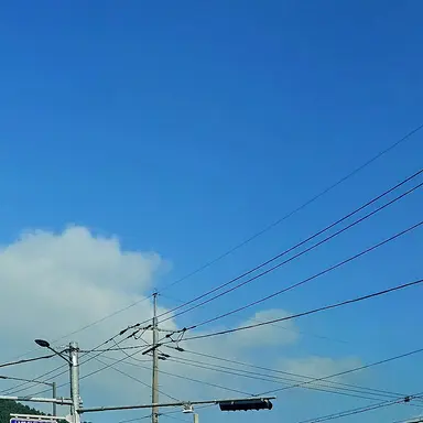 Profile image of 팀나빠