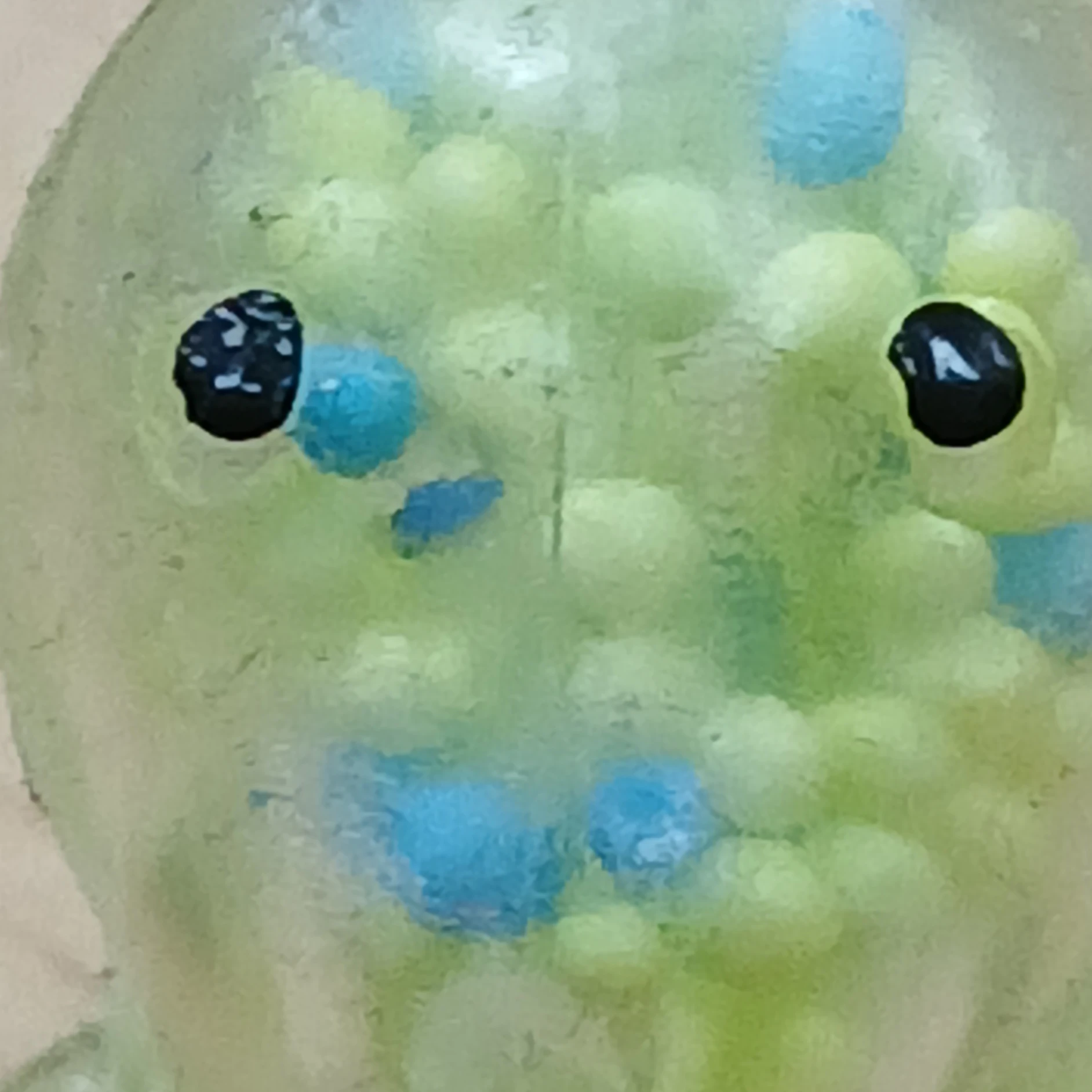 마플