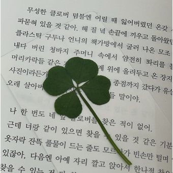 정공룡 대표 이미지