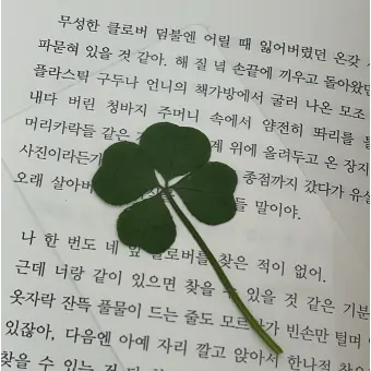 Dream_garden0518의 정공룡