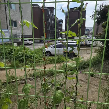 Profile image of 여우