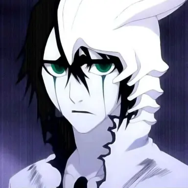Profile image of 우르키오라 쉬퍼