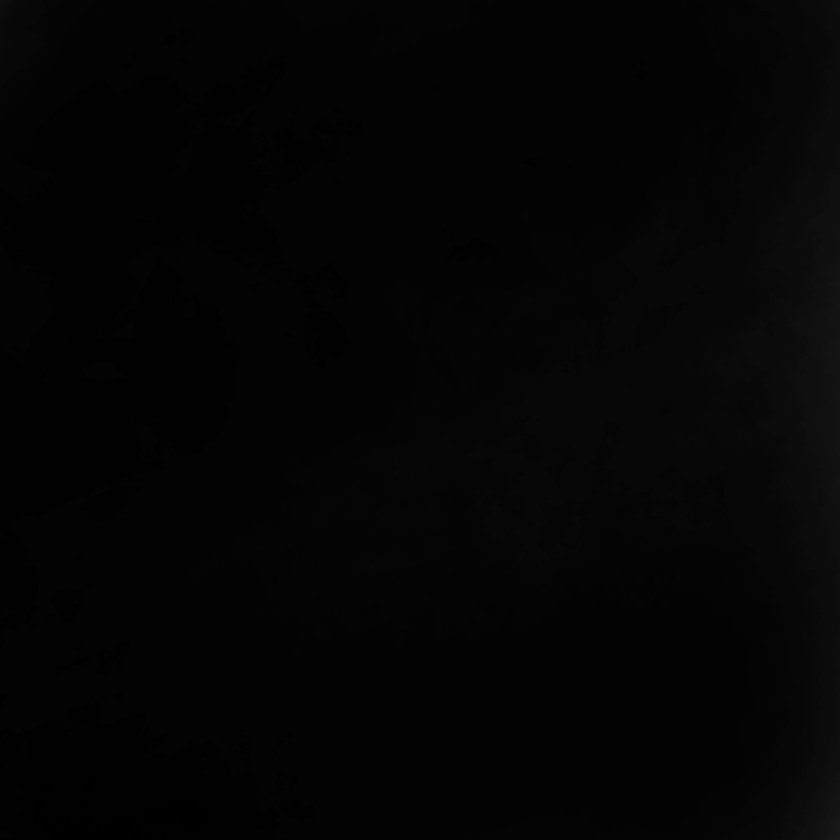 비스트와 에이션트