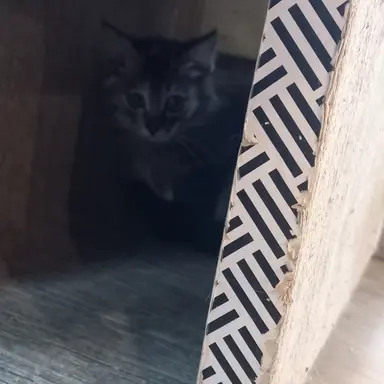 Profile image of 수경위