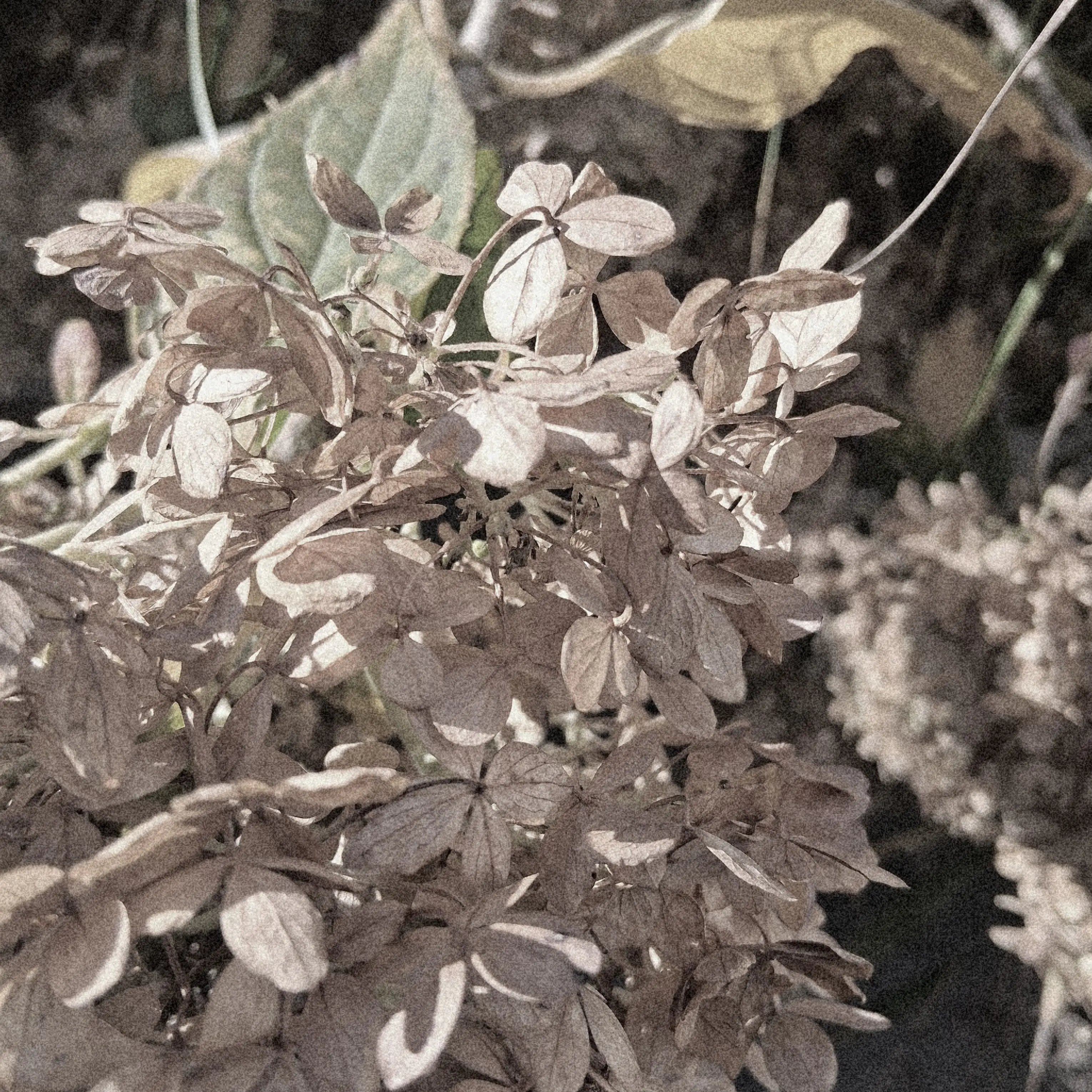 1I_hate_school_so_much의 .