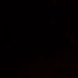 Profile image of 테라스