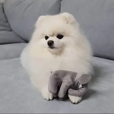 Profile image of 루디