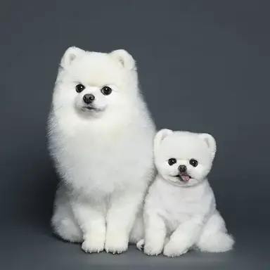 Profile image of 루퐁맘