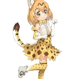 DimPin8127의 서벌