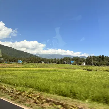 Profile image of バチキン