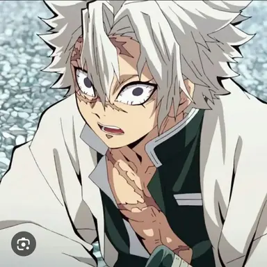 Profile image of 시나즈가와 사네미