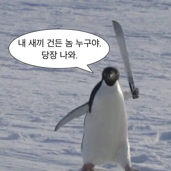 CTN의 고민 상담