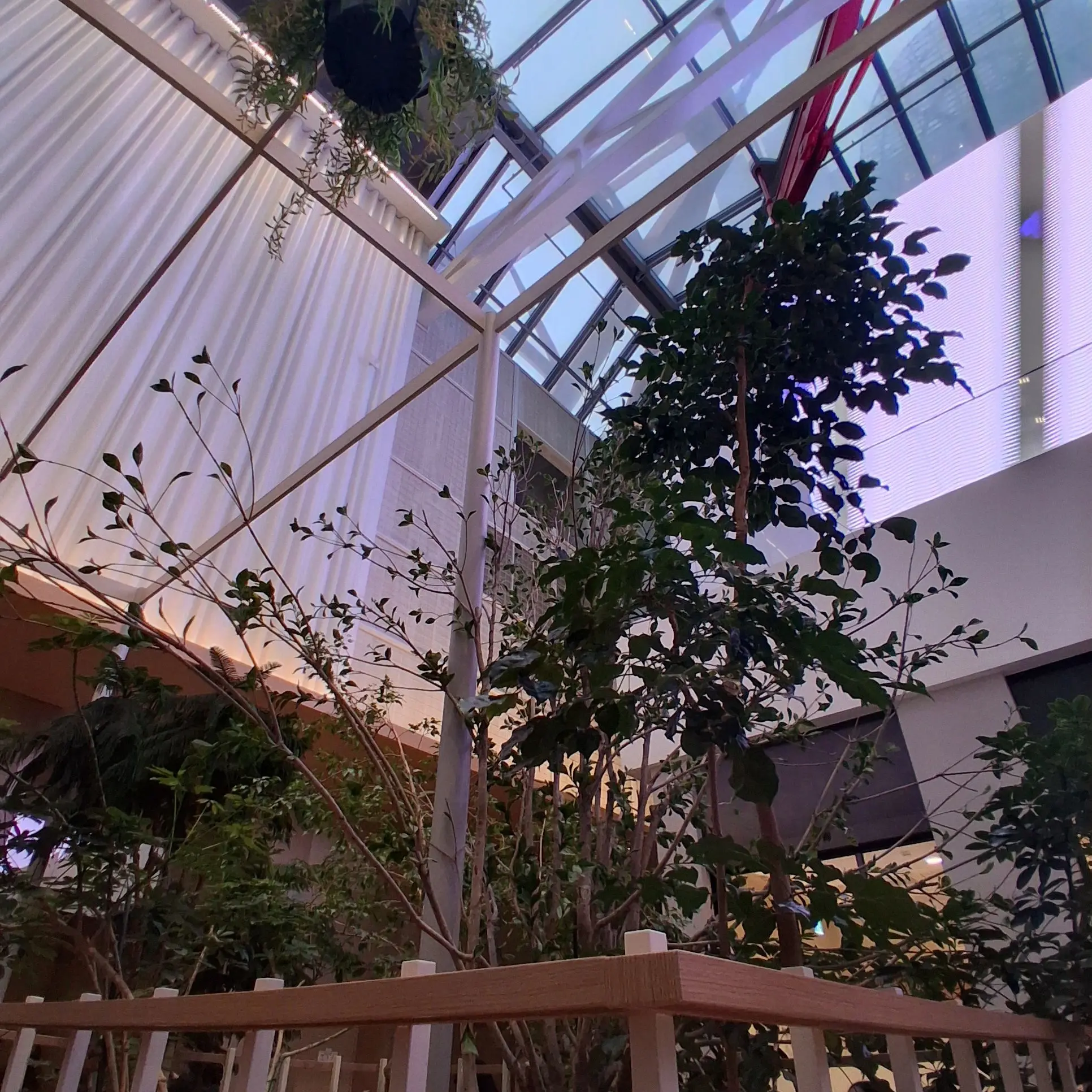 GreatComic0617의 귀멸학원 전학생이 되어보자^^