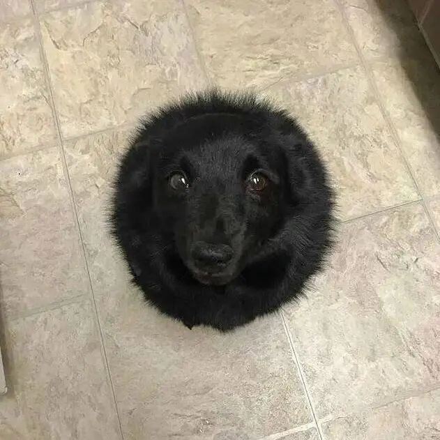 HYJPRETTY의 울고있는 당신을 위하여