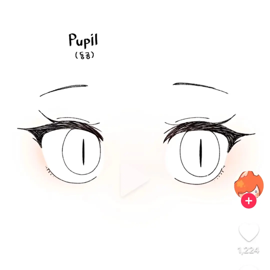 TacitFatty3361의 여자아이돌은서러워ㅠㅠ