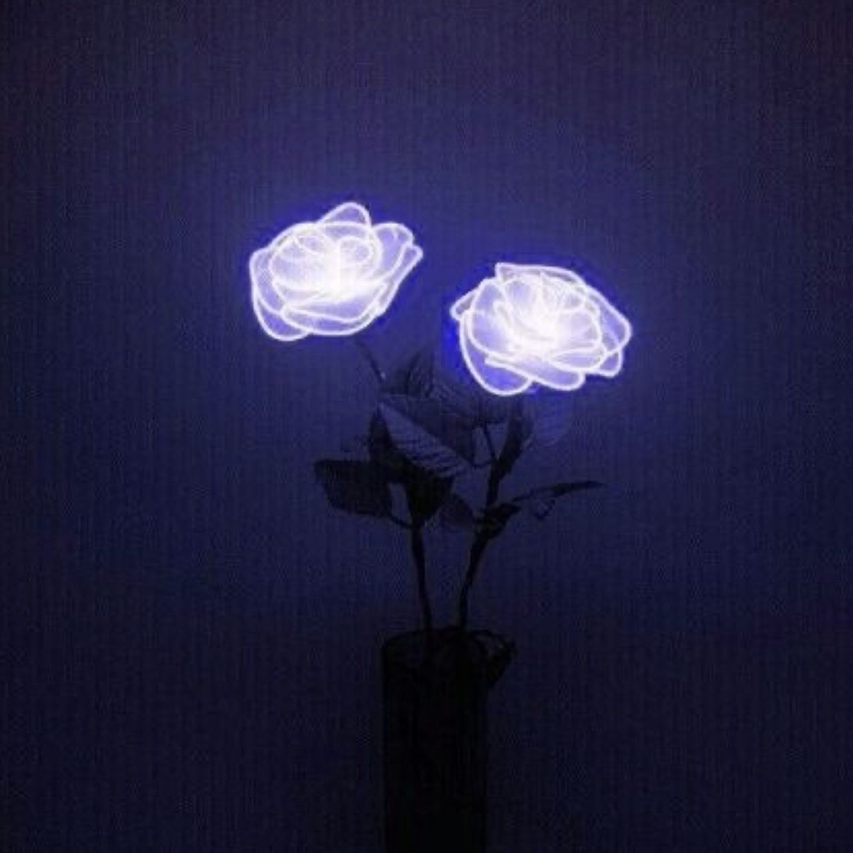 박잠뜰 대표 이미지