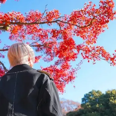 Profile image of りうら