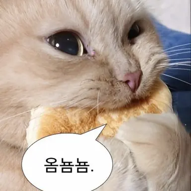 Profile image of 소라노 츠바사