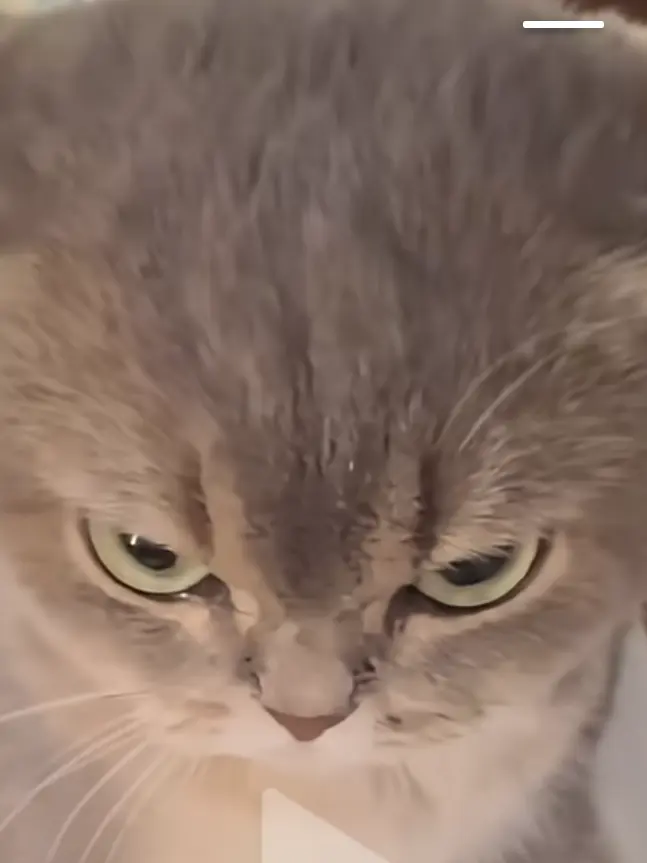 Yaayyy의 病みあーとふる。(リスカ注意？)