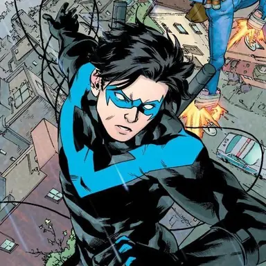 Profile image of Nightwing