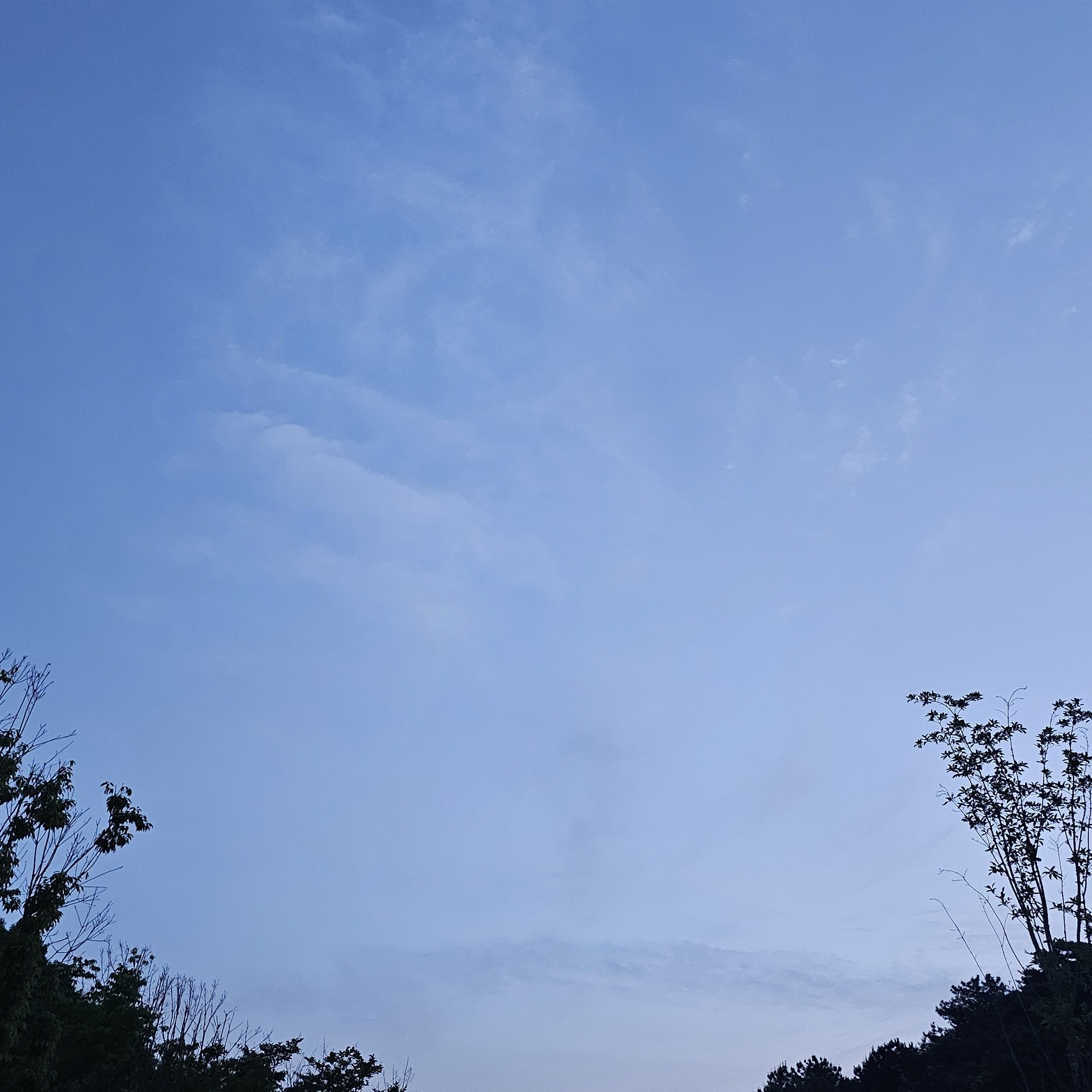 채아님 진짜인가요? 대표 이미지