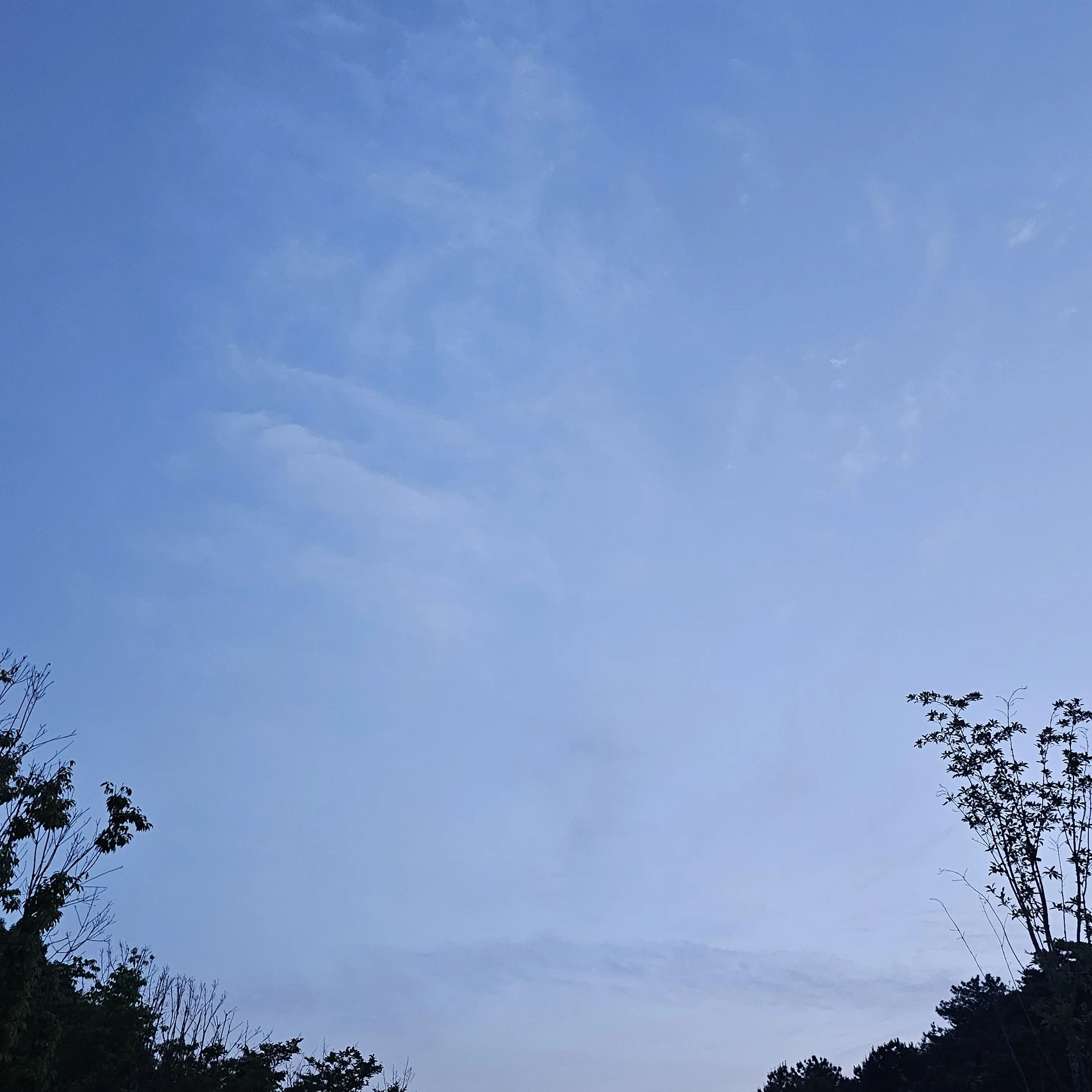 Juinjang의 채아님 진짜인가요?