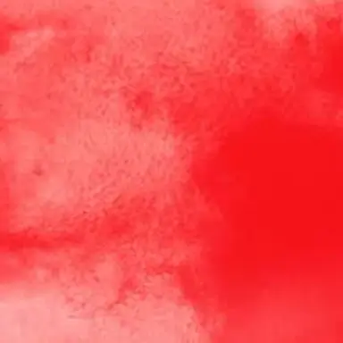 Profile image of 舘様