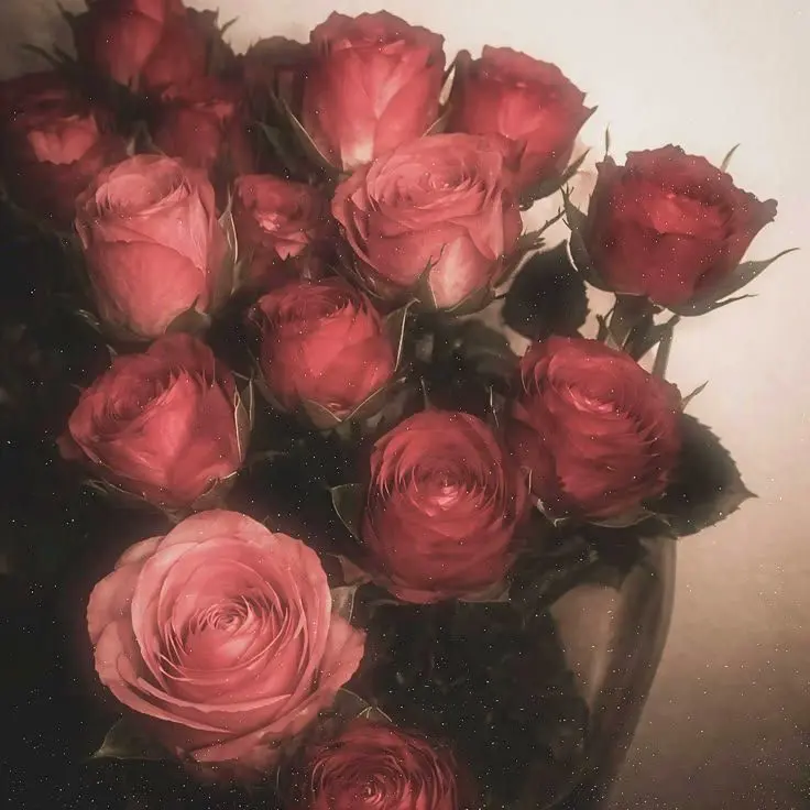 Aco_의 ＾＾
