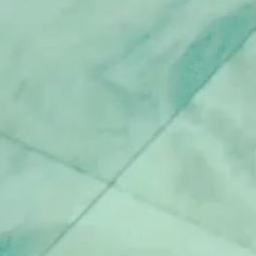 네가 영원할 것이라는 착각 대표 이미지