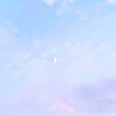 Profile image of 라더