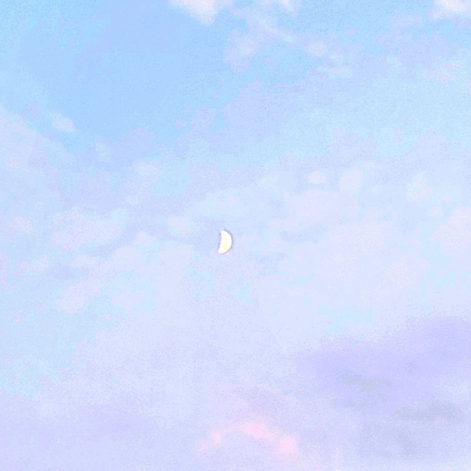 라더