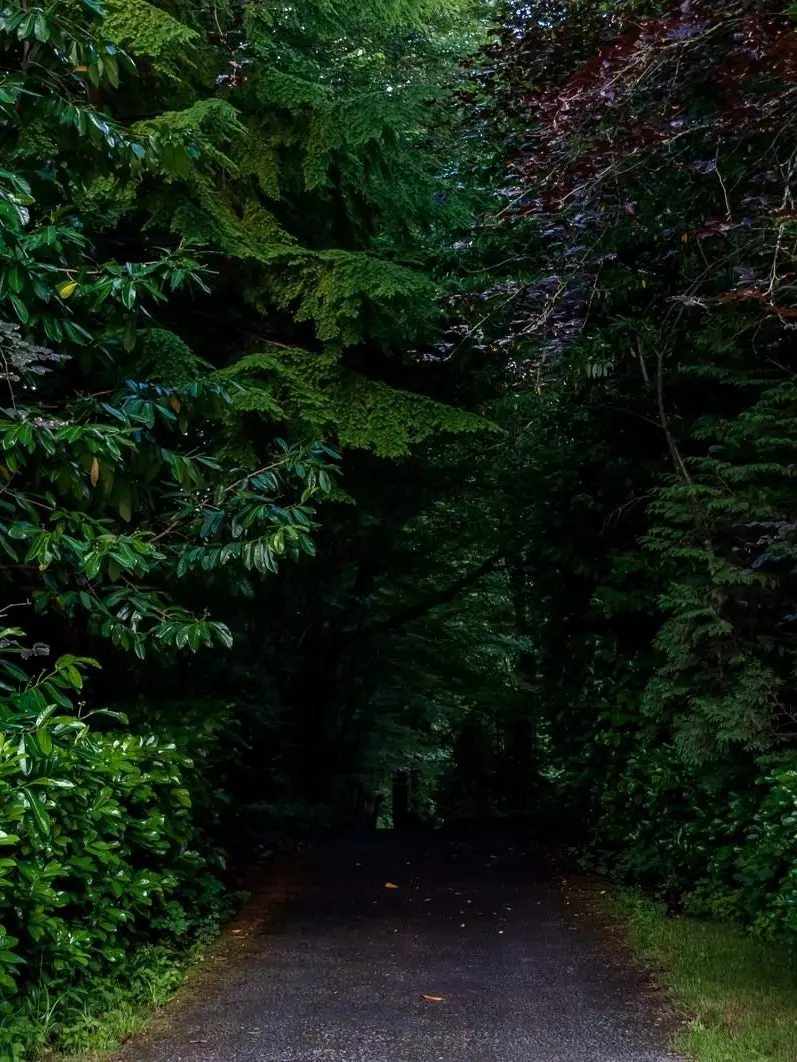 mutimunou33의 街からものすごく離れた、祠
