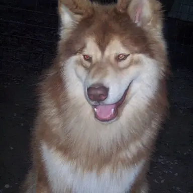 Profile image of Marry