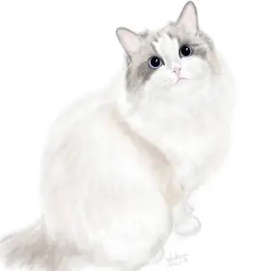Profile image of モカ